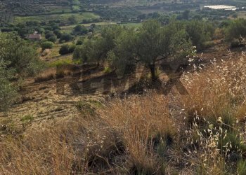 Vista delle montagne - Agricultural land Via San Nicolò le Canne
s.n.c., Caltagirone - photo 22