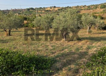 Vista delle montagne - Agricultural land Via San Nicolò le Canne
s.n.c., Caltagirone - photo 25