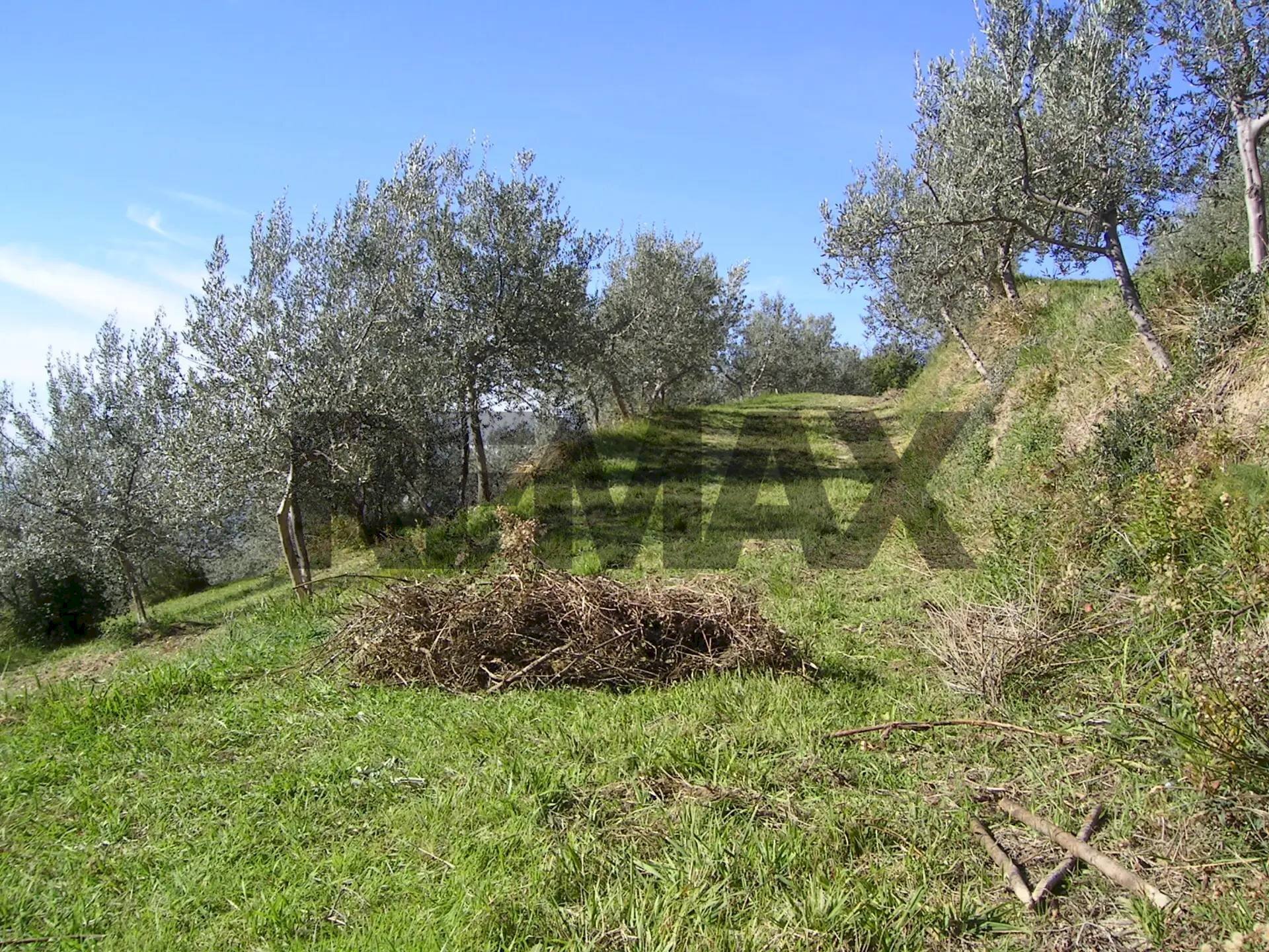Giardino - Rustic VIA SAN FORTUNATO
 
9, Assisi - photo 1