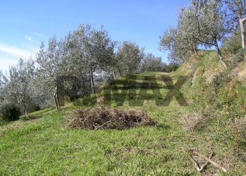 Giardino - Rustic VIA SAN FORTUNATO
 
9, Assisi - photo 1