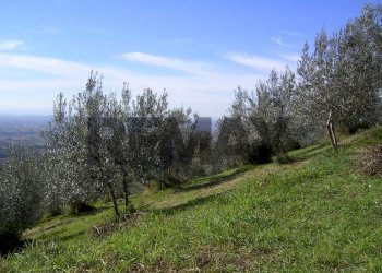 Giardino - Rustic VIA SAN FORTUNATO
 
9, Assisi - photo 4