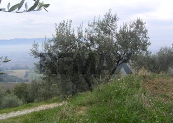 Vista delle montagne - Rustic VIA SAN FORTUNATO
 
9, Assisi - photo 5