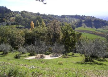 Vista delle montagne - Rustic VIA SAN FORTUNATO
 
9, Assisi - photo 18