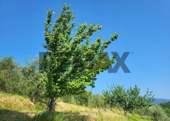 Giardino - Rustic VIA SAN FORTUNATO
 
9, Assisi - photo 20