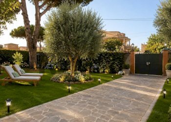 Giardino - Villa via adige
 
1, Ardea - foto 6
