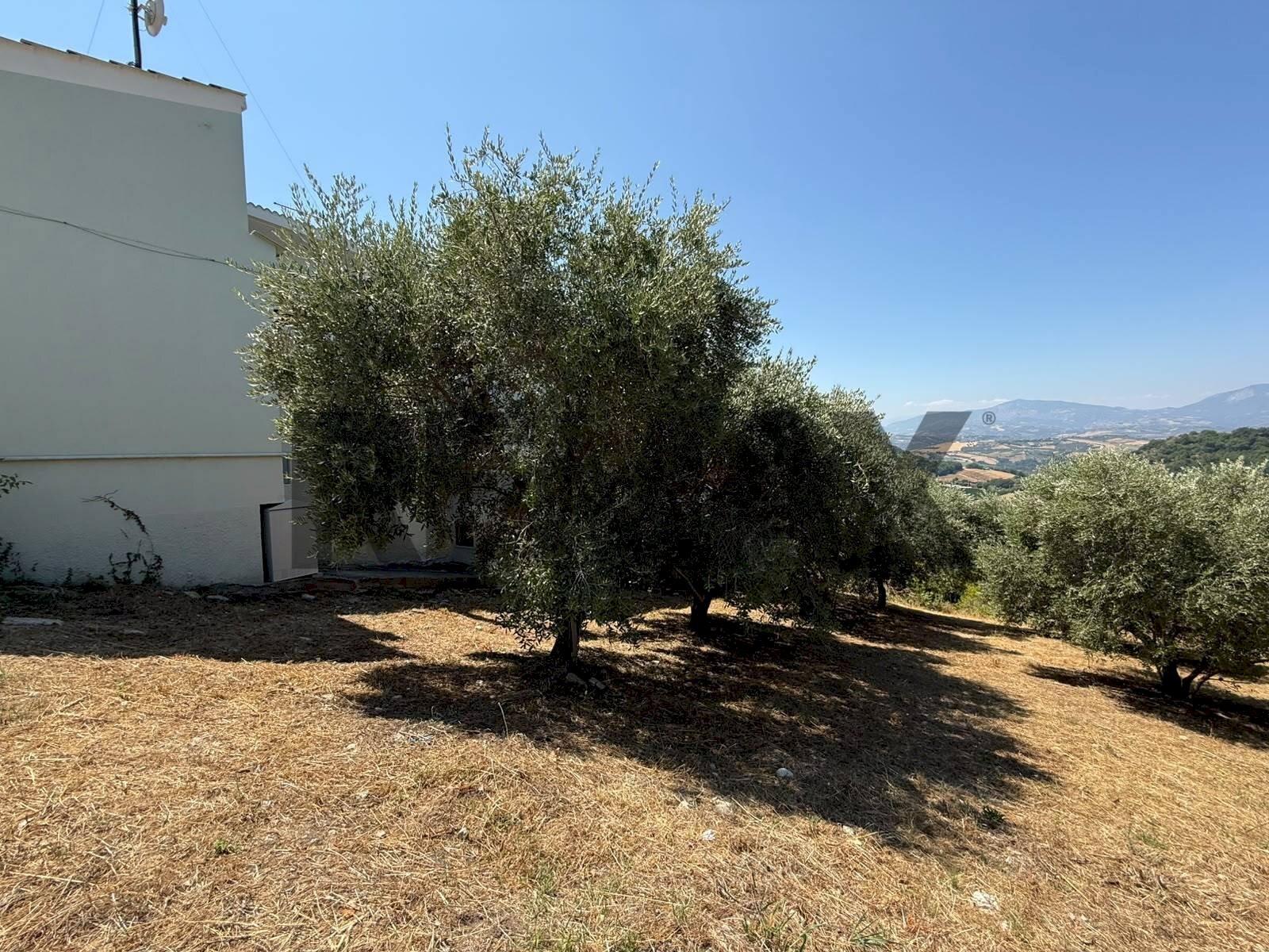 Giardino - Terreno edificabile Salita san Salvatore
 
51, Rosciano - foto 1
