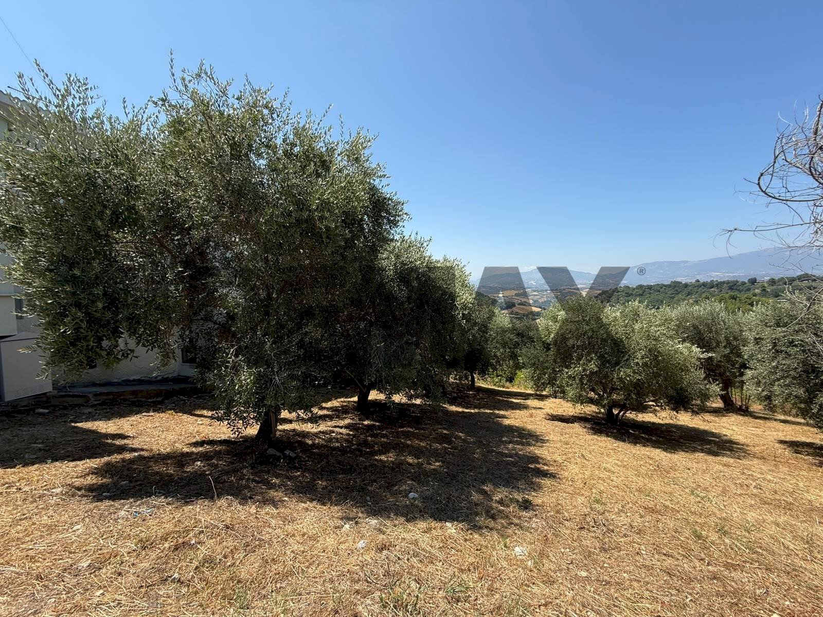 Giardino - Terreno edificabile Salita san Salvatore
51, Rosciano - foto 2