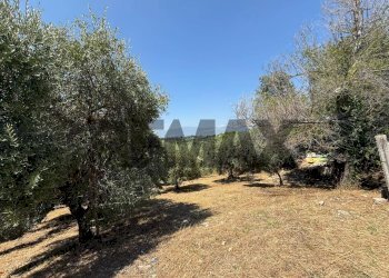 Giardino - Terreno edificabile Salita san Salvatore
51, Rosciano - foto 5