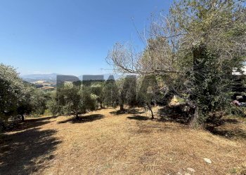 Giardino - Terreno edificabile Salita san Salvatore
51, Rosciano - foto 6