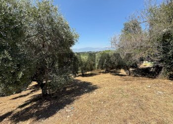 Giardino - Terreno edificabile Salita san Salvatore
51, Rosciano - foto 10