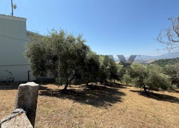 Giardino - Terreno edificabile Salita san Salvatore
51, Rosciano - foto 16