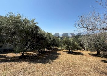 Giardino - Terreno edificabile Salita san Salvatore
51, Rosciano - foto 18