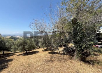 Giardino - Terreno edificabile Salita san Salvatore
51, Rosciano - foto 21
