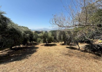 Giardino - Terreno edificabile Salita san Salvatore
51, Rosciano - foto 22