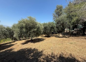 Giardino - Terreno edificabile Salita san Salvatore
51, Rosciano - foto 23