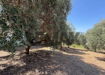 Giardino - Terreno edificabile Salita san Salvatore
51, Rosciano - foto 24