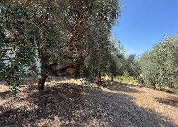 Giardino - Terreno edificabile Salita san Salvatore
51, Rosciano - foto 25