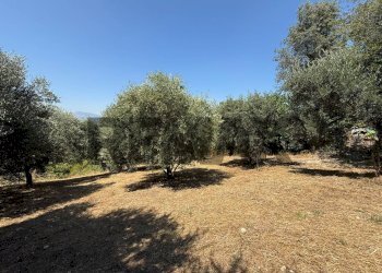 Giardino - Terreno edificabile Salita san Salvatore
51, Rosciano - foto 28