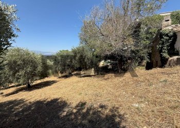 Giardino - Terreno edificabile Salita san Salvatore
51, Rosciano - foto 31