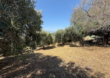 Giardino - Terreno edificabile Salita san Salvatore
51, Rosciano - foto 32
