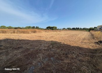Foto 4 - Agricultural land Quartu Sant'Elena - photo 4
