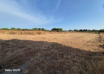 Foto 5 - Agricultural land Quartu Sant'Elena - photo 5