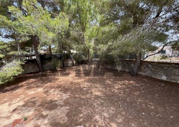 Giardino - Villa Strada Comunale Corso Sette Minne
26, Favignana - foto 15