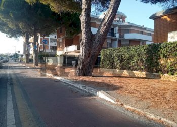 Edificio all\'aperto - Trilocale Viale Dei Navigatori
 
56, Tarquinia - foto 19