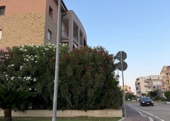 Foto 3 - Appartamento VIA GIOLITTI, Tortoreto - foto 3
