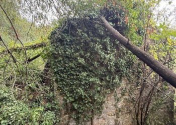 Terreno - Rustico via dei Ciclamini, Genova (zona Quarto) - foto 8