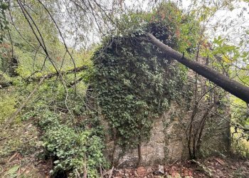Terreno - Rustico via dei Ciclamini, Genova (zona Quarto) - foto 9