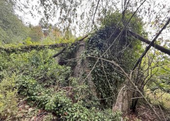 Terreno - Rustico via dei Ciclamini, Genova (zona Quarto) - foto 10