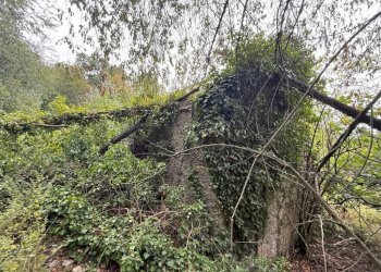 Terreno - Rustico via dei Ciclamini, Genova (zona Quarto) - foto 11
