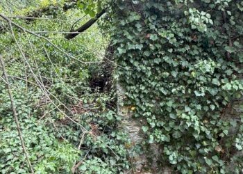 Terreno - Rustico via dei Ciclamini, Genova (zona Quarto) - foto 12