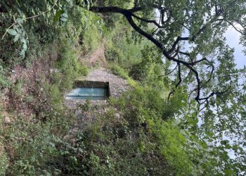 Terreno - Rustico via dei Ciclamini, Genova (zona Quarto) - foto 14
