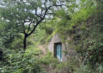 Terreno - Rustico via dei Ciclamini, Genova (zona Quarto) - foto 15