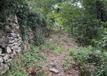 Terreno - Rustico via dei Ciclamini, Genova (zona Quarto) - foto 16