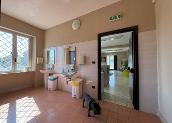 Foto 9 - Office viale Magna Grecia
215, Catanzaro - photo 9