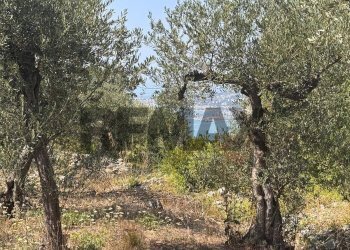 Vista dell\'acqua - Rustico via canale
snc, Formia - foto 4