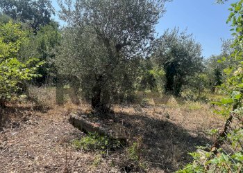 Giardino - Rustico via canale
snc, Formia - foto 5
