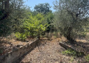 Giardino - Rustico via canale
snc, Formia - foto 6