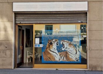 facciata - Commercial Premises Garibaldi
35, Fino Mornasco - photo 2