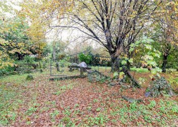 giardino - Villa Mondello di Socco
 
30, Fino Mornasco - foto 9