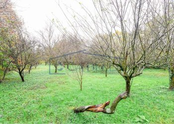 giardino - Villa Mondello di Socco
 
30, Fino Mornasco - foto 24