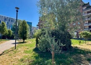 Giardino - Appartamento via Benevento, 20/1, Torino (zona Vanchiglietta) - foto 13