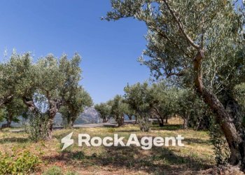 Terreno - Villa contrada Cuturelle, 54, Catanzaro - photo 40