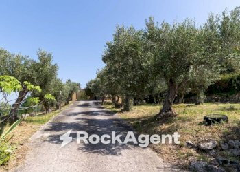 Terreno - Villa contrada Cuturelle, 54, Catanzaro - photo 41