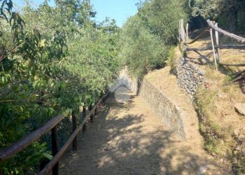 Rustic Località Mennuia, Carasco - photo 8