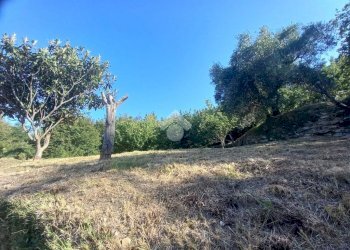 Rustic Località Mennuia, Carasco - photo 10