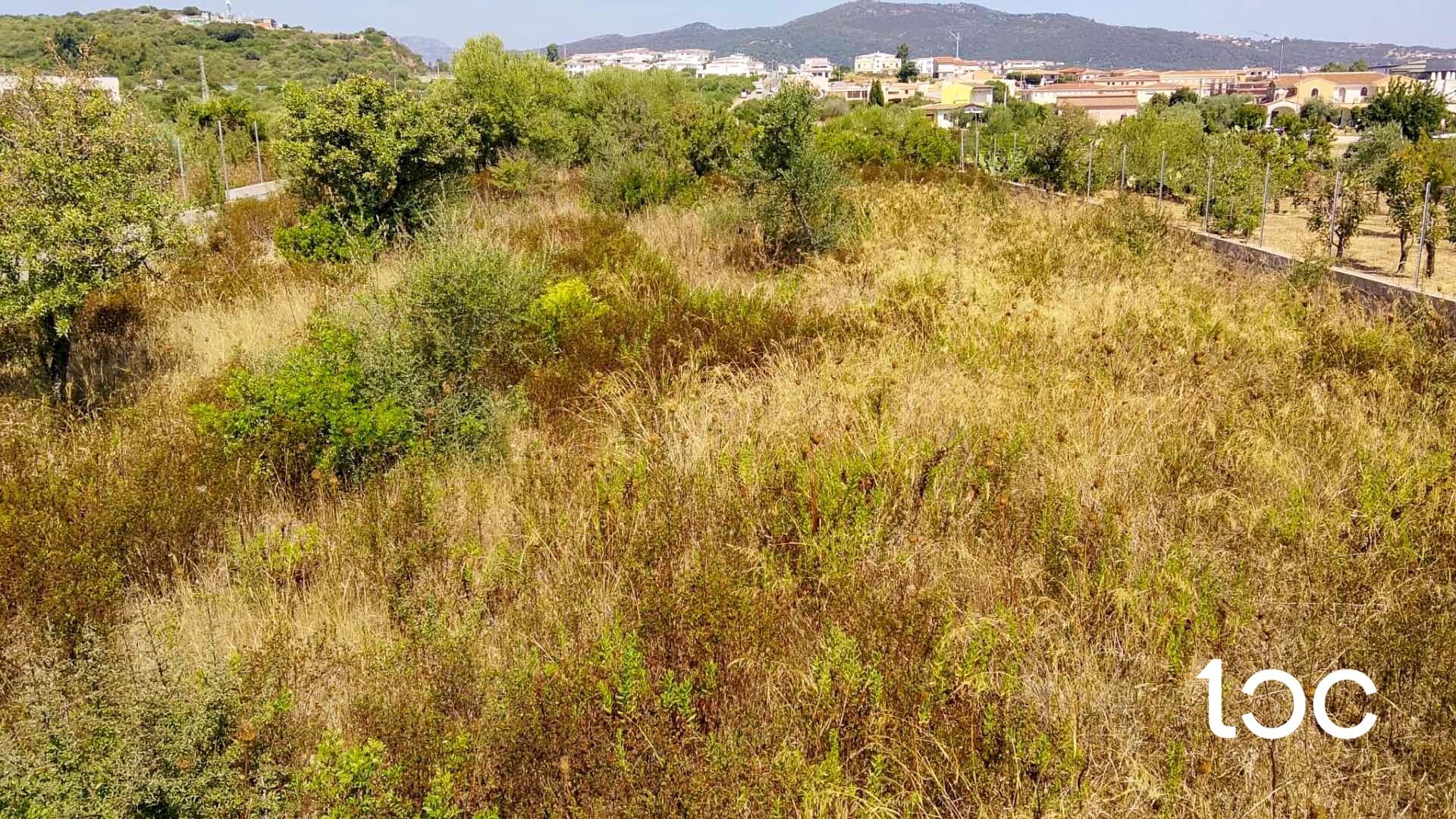 Terreno edificabile Budoni - foto 2